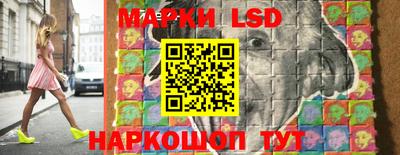 индика Моздок
