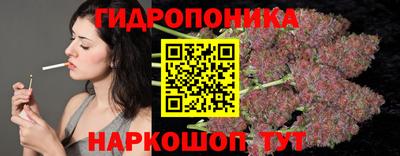 индика Моздок