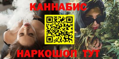 индика Моздок
